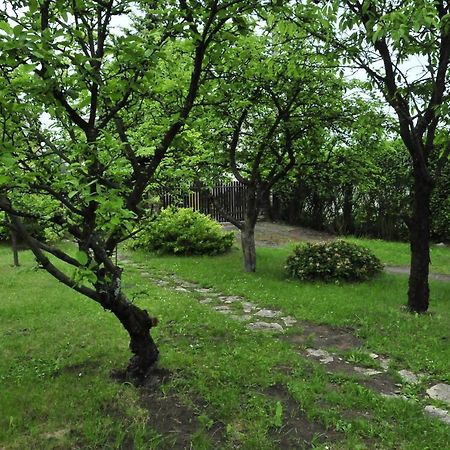 Szyszka I Roza Domek Na Jurze Zelazko Exterior foto
