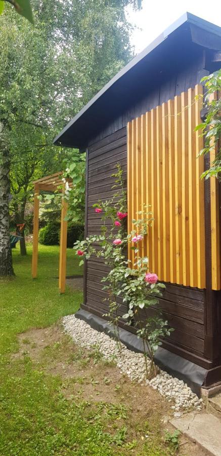 Szyszka I Roza Domek Na Jurze Zelazko Exterior foto