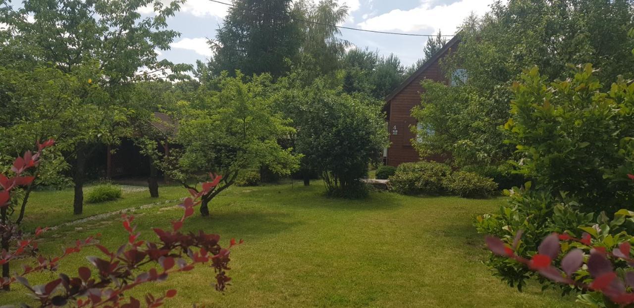 Szyszka I Roza Domek Na Jurze Zelazko Exterior foto
